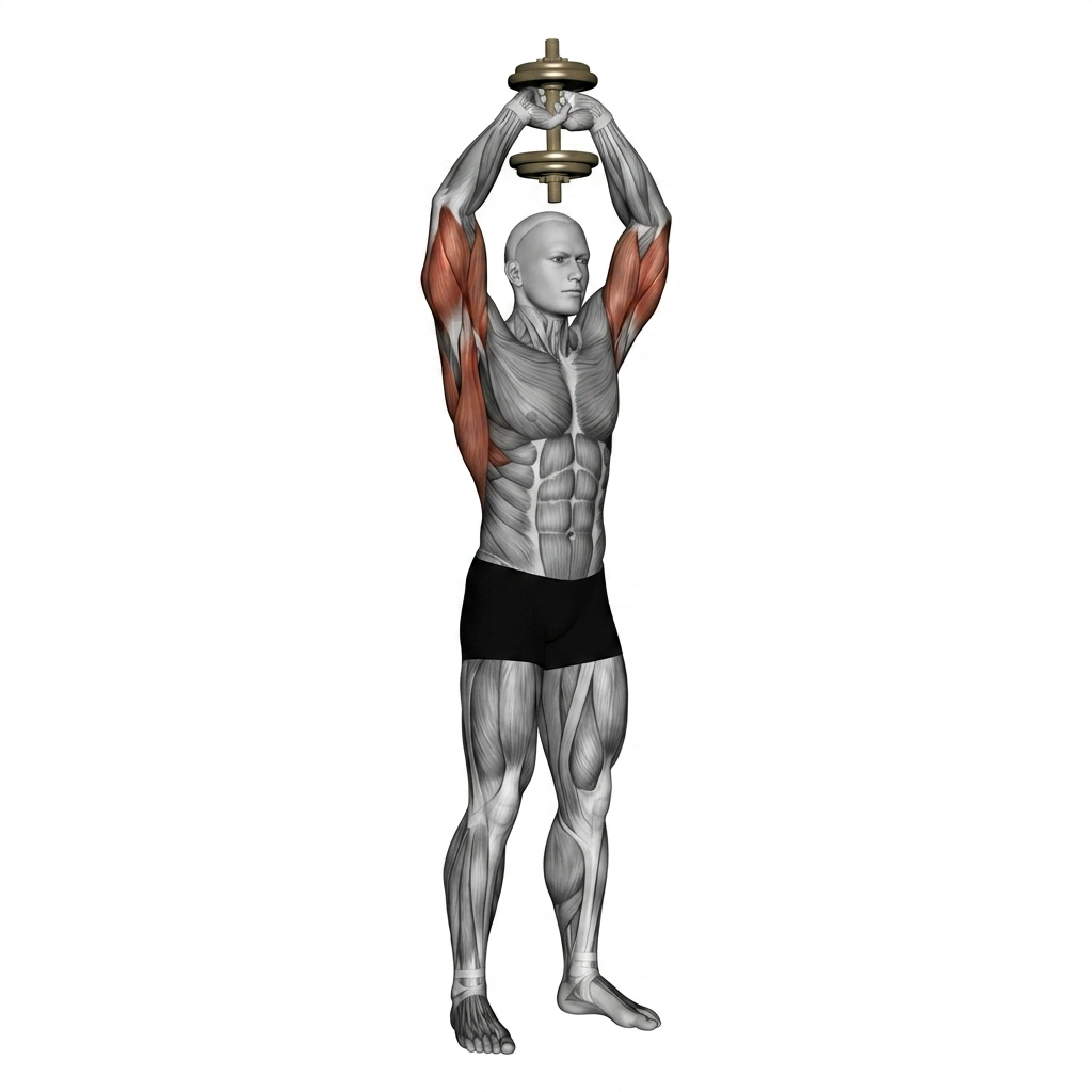Dumbbell Overhead Extension (Standing)
